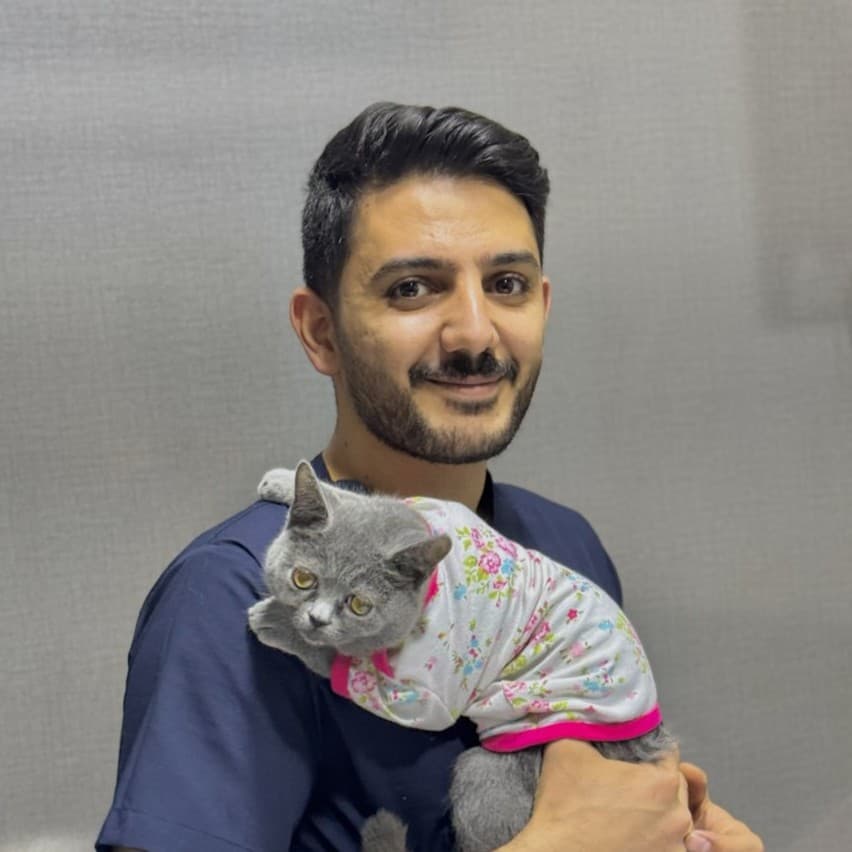 دکتر امیر حسینی